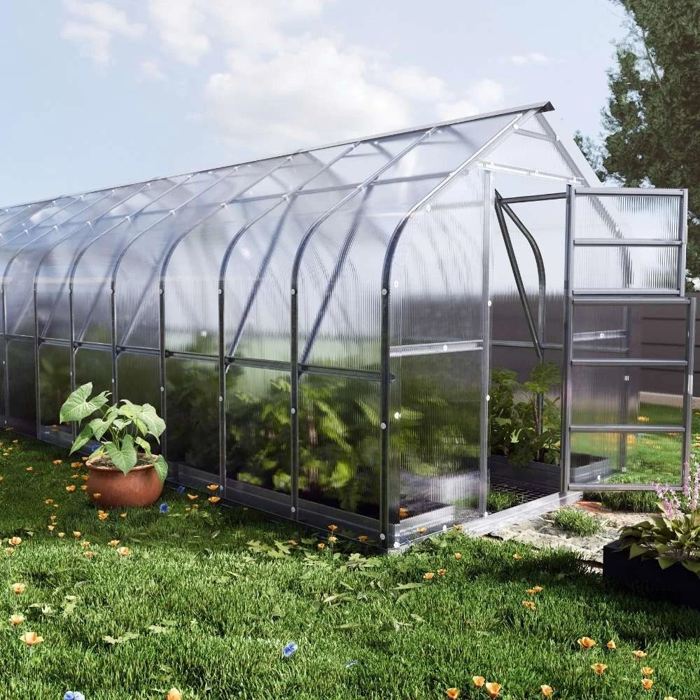 Serre KLASIKA Standard 2,5 x 12 m (30 m2) (6 fenêtres de toit)