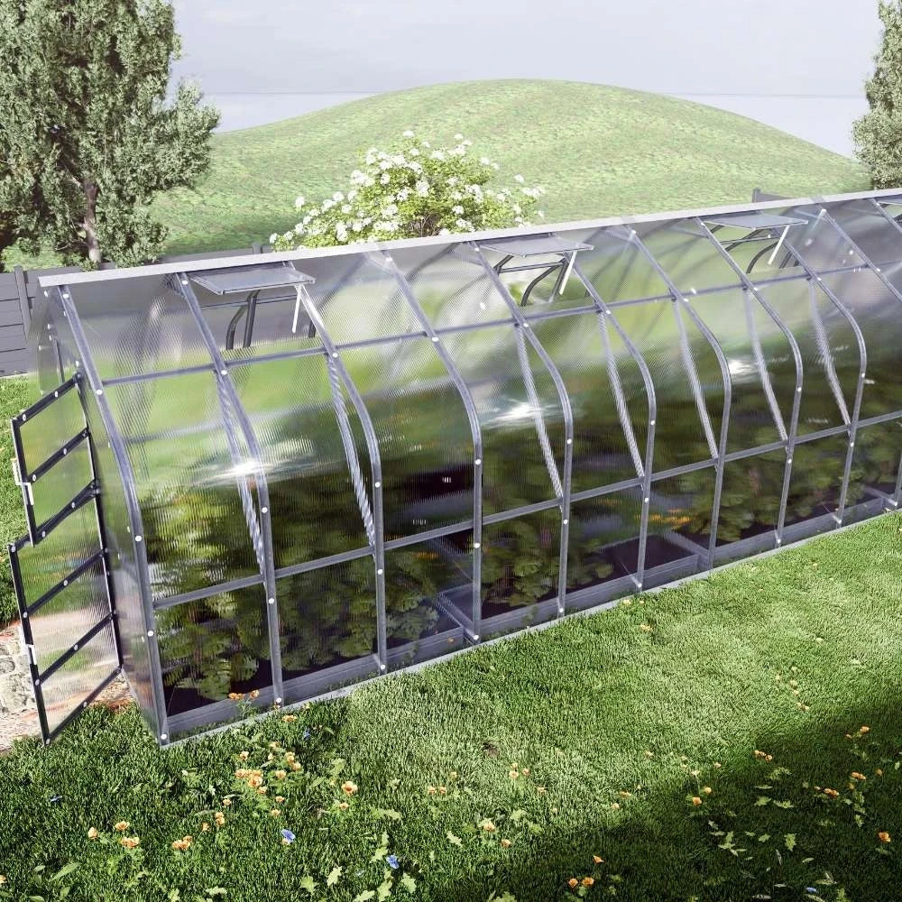 Serre KLASIKA Standard 2,5 x 10 m (25 m2) (5 fenêtres de toit)